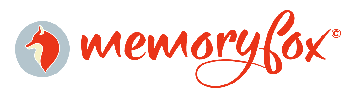 Video Story Collection