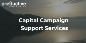 capitol campaign support services