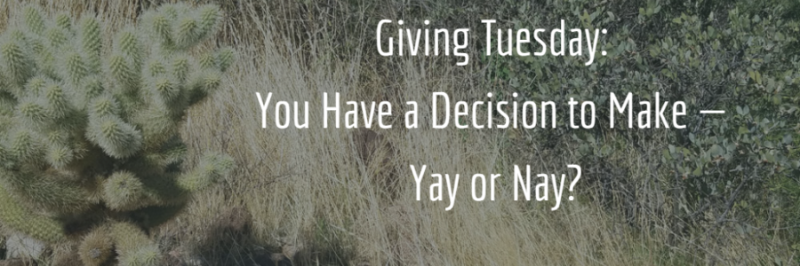 Giving Tuesday: You Have a Decision to Make — Yay or Nay? (NonprofitPRO)