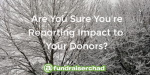 Report Impact To Donors